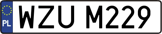 WZUM229