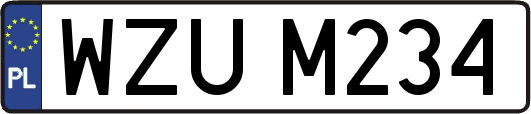 WZUM234