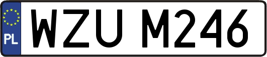 WZUM246
