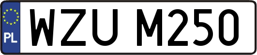 WZUM250