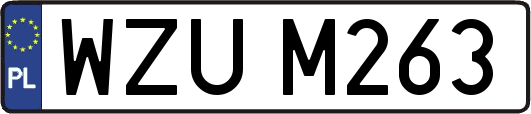 WZUM263
