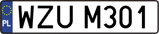 WZUM301