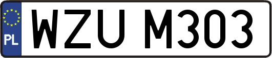 WZUM303