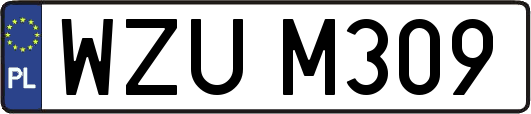WZUM309
