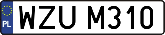 WZUM310