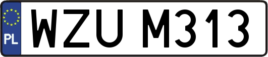 WZUM313