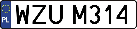 WZUM314