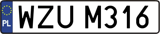 WZUM316