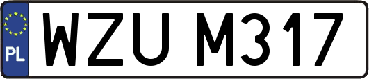 WZUM317
