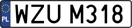 WZUM318