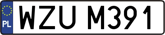 WZUM391