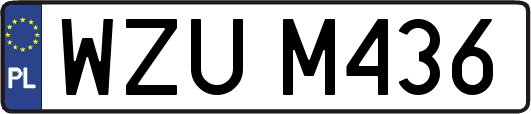 WZUM436