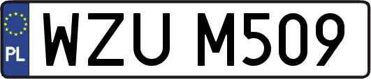 WZUM509