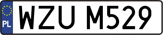 WZUM529