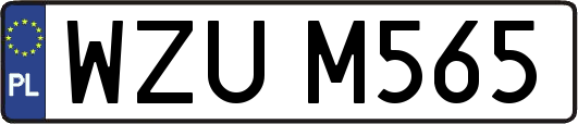 WZUM565