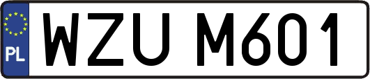 WZUM601