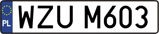 WZUM603