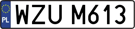 WZUM613
