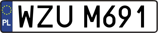 WZUM691