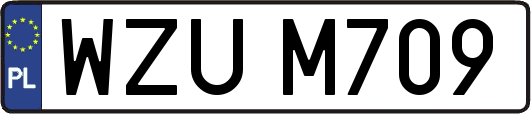 WZUM709