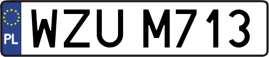 WZUM713