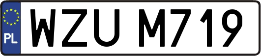 WZUM719