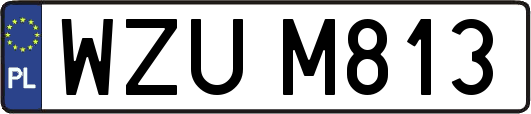 WZUM813