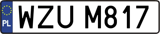 WZUM817