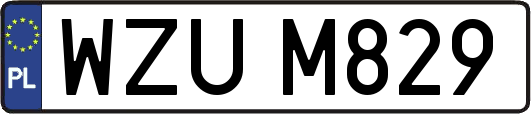 WZUM829