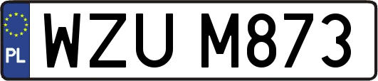 WZUM873