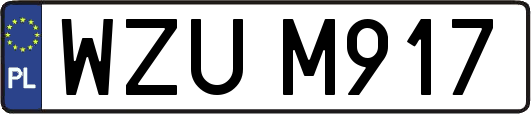 WZUM917