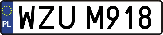 WZUM918