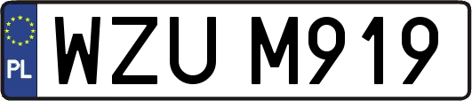 WZUM919