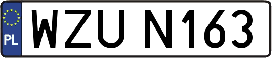 WZUN163