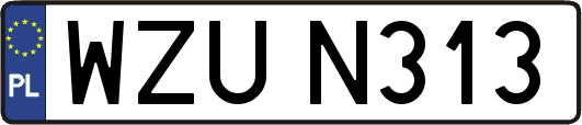 WZUN313