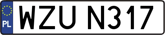 WZUN317