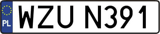 WZUN391