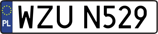 WZUN529