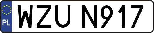 WZUN917
