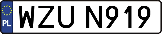 WZUN919