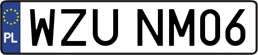 WZUNM06