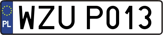 WZUP013