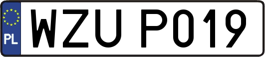 WZUP019