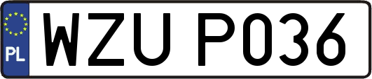 WZUP036