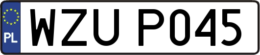 WZUP045