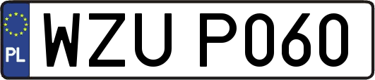 WZUP060