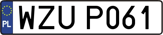 WZUP061