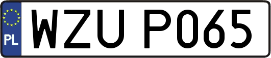 WZUP065