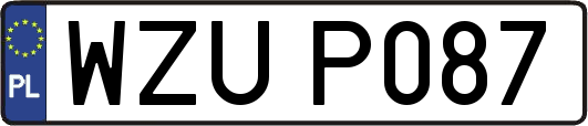 WZUP087