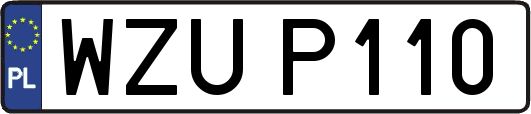 WZUP110
